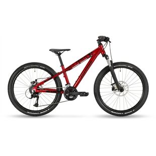 Stevens Team RC 24"