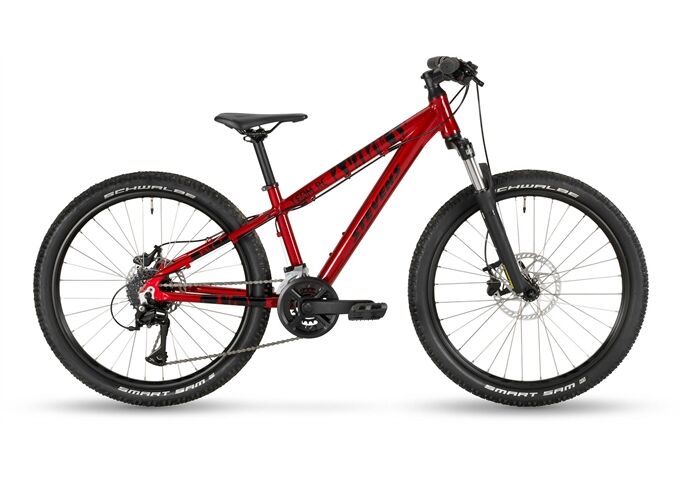 Stevens Team RC 24"