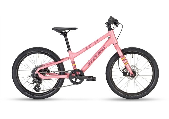 Stevens Beat SL Disc 20"