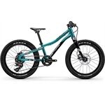 Centurion R'BOCK 20"