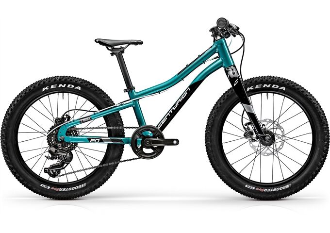 Centurion R'BOCK 20"