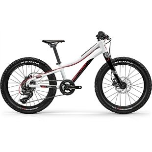 Centurion R'BOCK 20"